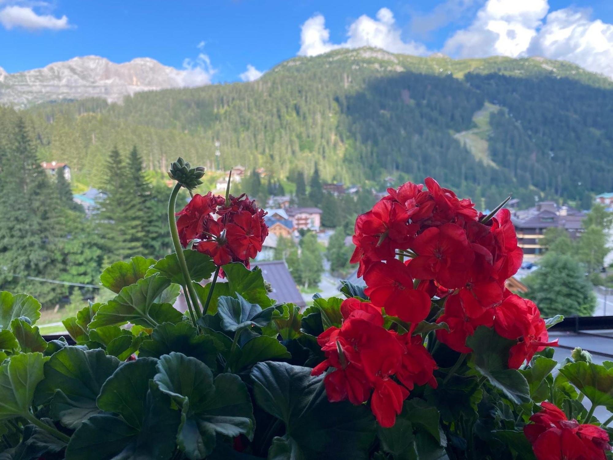 Hotel Dahu Madonna Dış mekan fotoğraf